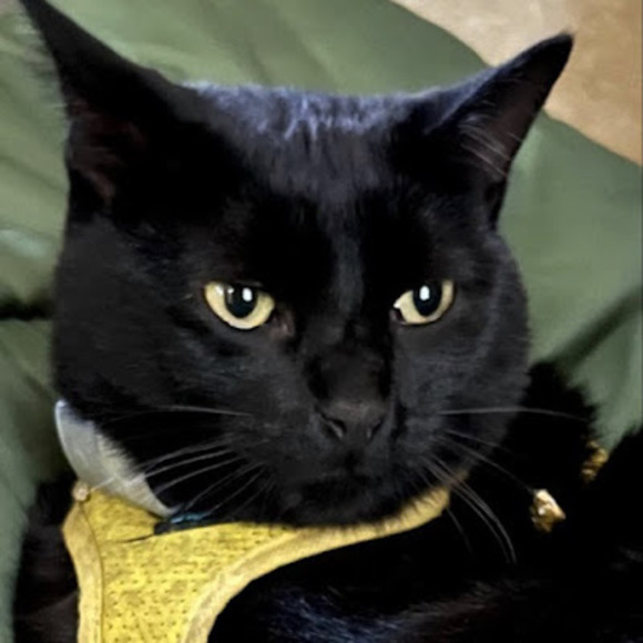 Meet your Posher, Julia - Picture 1 of 1